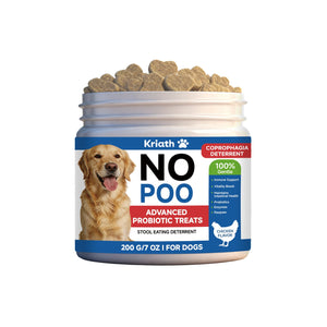 Transform Your Pet's Health with Probiotic Treats