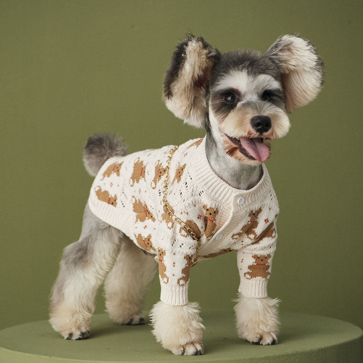 Dischnarui Pomeranian VIP Cute Pet Jacket: The Perfect Blend of Comfort and Style